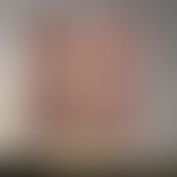 Dephna House, Neasden: Planning Strategy for a New Food Production and Public Realm Scheme