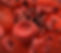 livebloodphoto.jpg