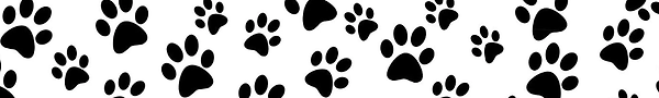 HTB13NIPasnrK1RkHFrdq6xCoFXaj.webp