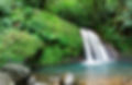GUADELOUPE / MARTINIQUE