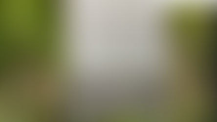 Nationale herdenking van de politieke gevangenen op 28 april 2024