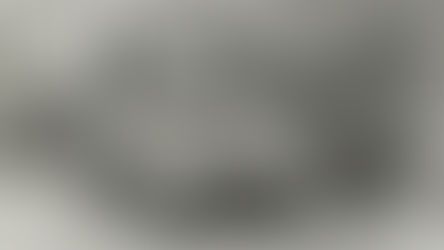 Zondag 1 september 2024 - Plechtigheden 80 jaar Bevrijding van Mechelen