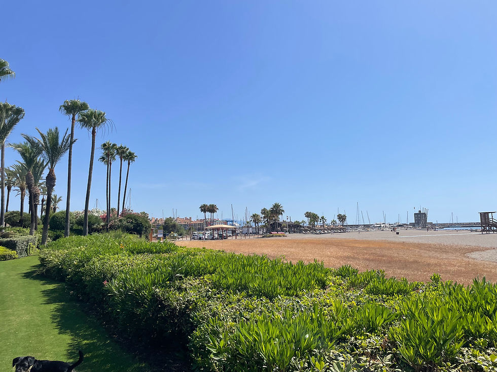 Salt Water, Blue Skies and the Art of Doing Nothing