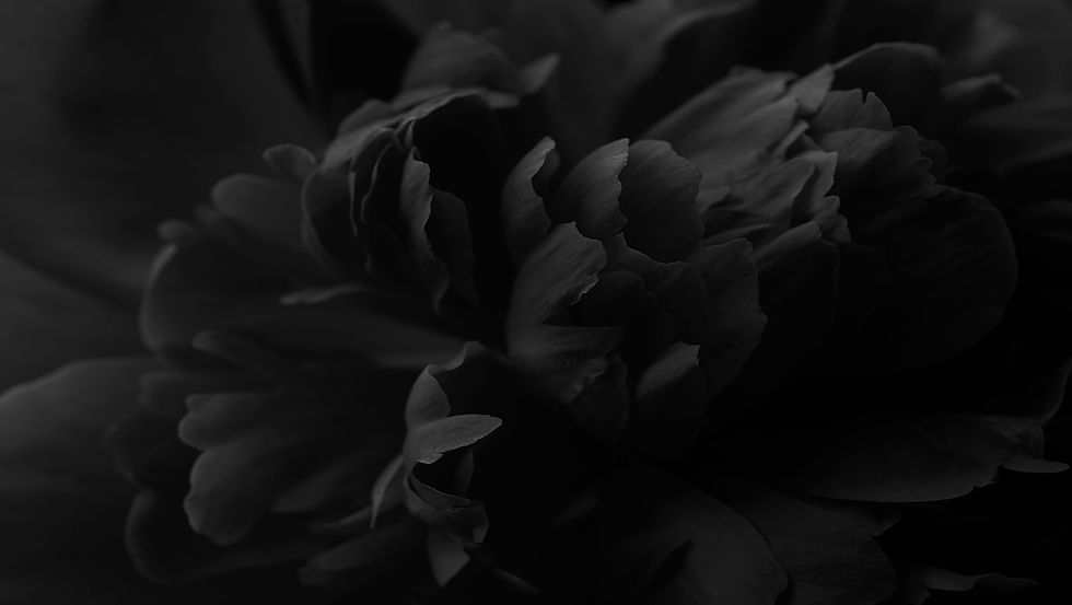 Knopp Parfums_P_SLCT_Visual_14.jpg