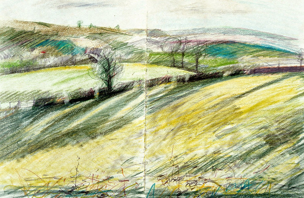 Landscape Drawings 1980s