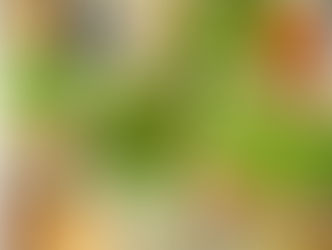 とうふやの鶏料理