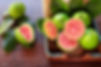 PINK GUAVA.jpeg