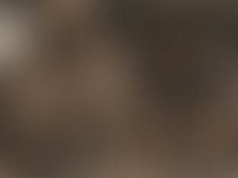 Chapter 3.1: The Next Afternoon