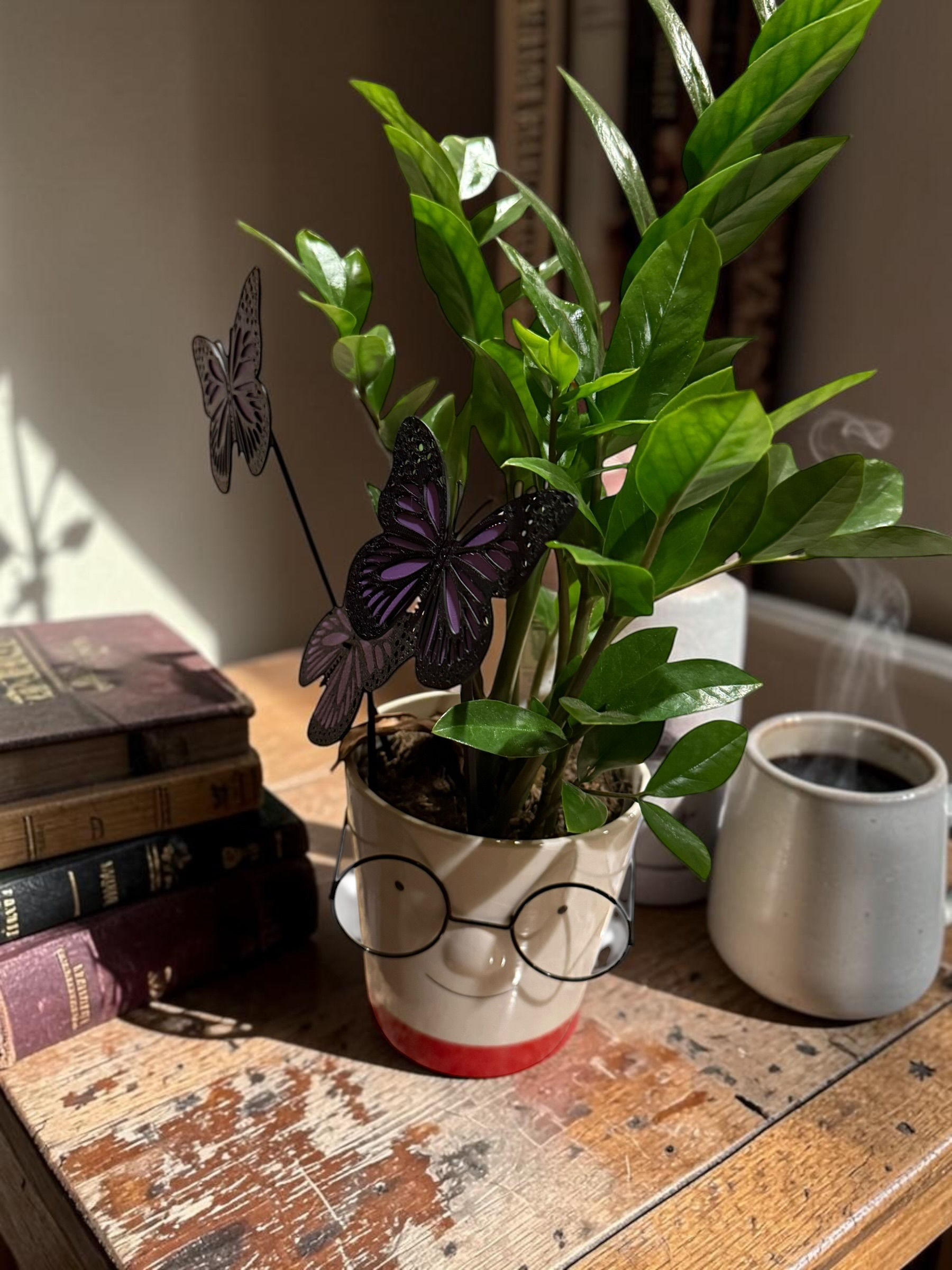 🦋 Butterfly Plant Accessories (Set of 3)