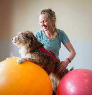 Alba Physiotherapy Pilates-athon 03.jpeg