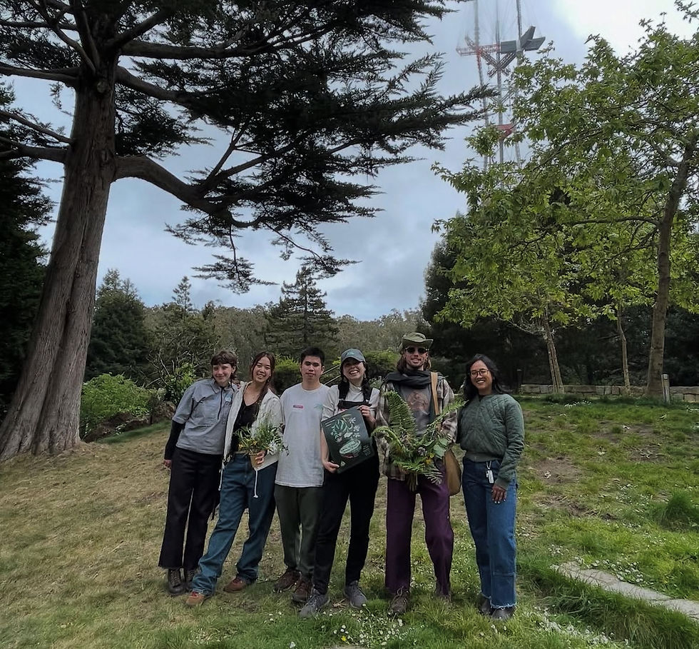 Sutro Stewards Updates: Trails, plantings and our plans for the future