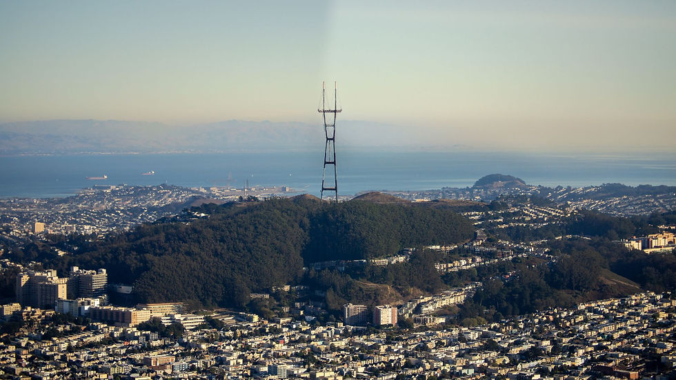 Meet the Stewards of Mount Sutro and connect with your neighbors!