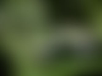 This Vogue-Approved Hotel Is My New Hamptons Go-To