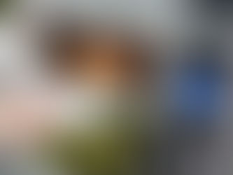 How Suvie Changed The Way I Feed My Family