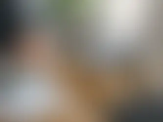 iSFP Kosten und Nutzen Analyse mit Hausmodell, Diagrammen und Geld zur Bewertung einer Sanierung