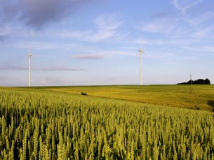 Ein Bilder der Natur mit einem Windrad als Symbolbild für erneuerbare Energien