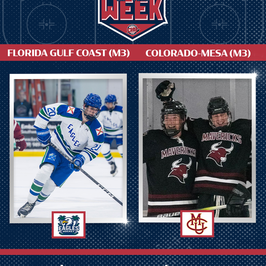 2025-26 Season Week 13.5 Preview