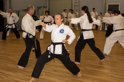 Eureka TKD27.jpg