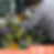 섬네일: MOM's Garden(소형:S)