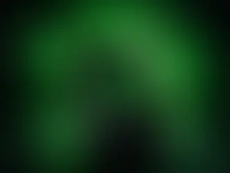 Adyen en Pieter van der Does: visionaire CEO of risico voor beleggers?