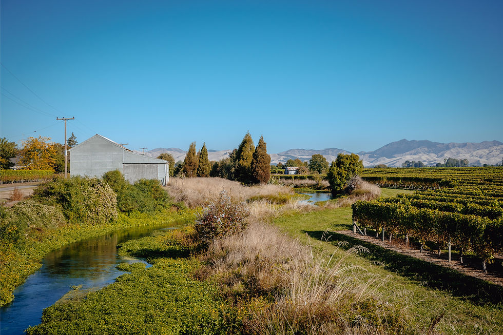 Fortunate Land_Mar25_RBPHOTO (47).jpg