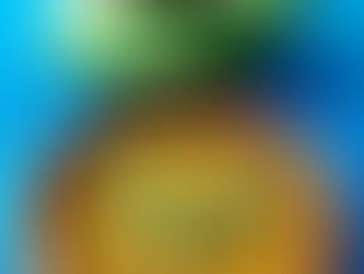 FISH EGG(ROE) MASALA