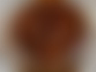 WILD LIME (VADUKAPULI NARANGA) PICKLE