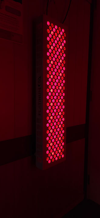 20250428_150315.jpg