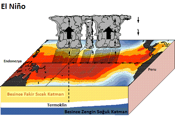 El Nino.gif