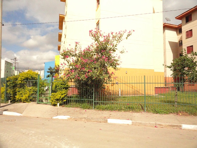 Revitalization City Jaraguá - View