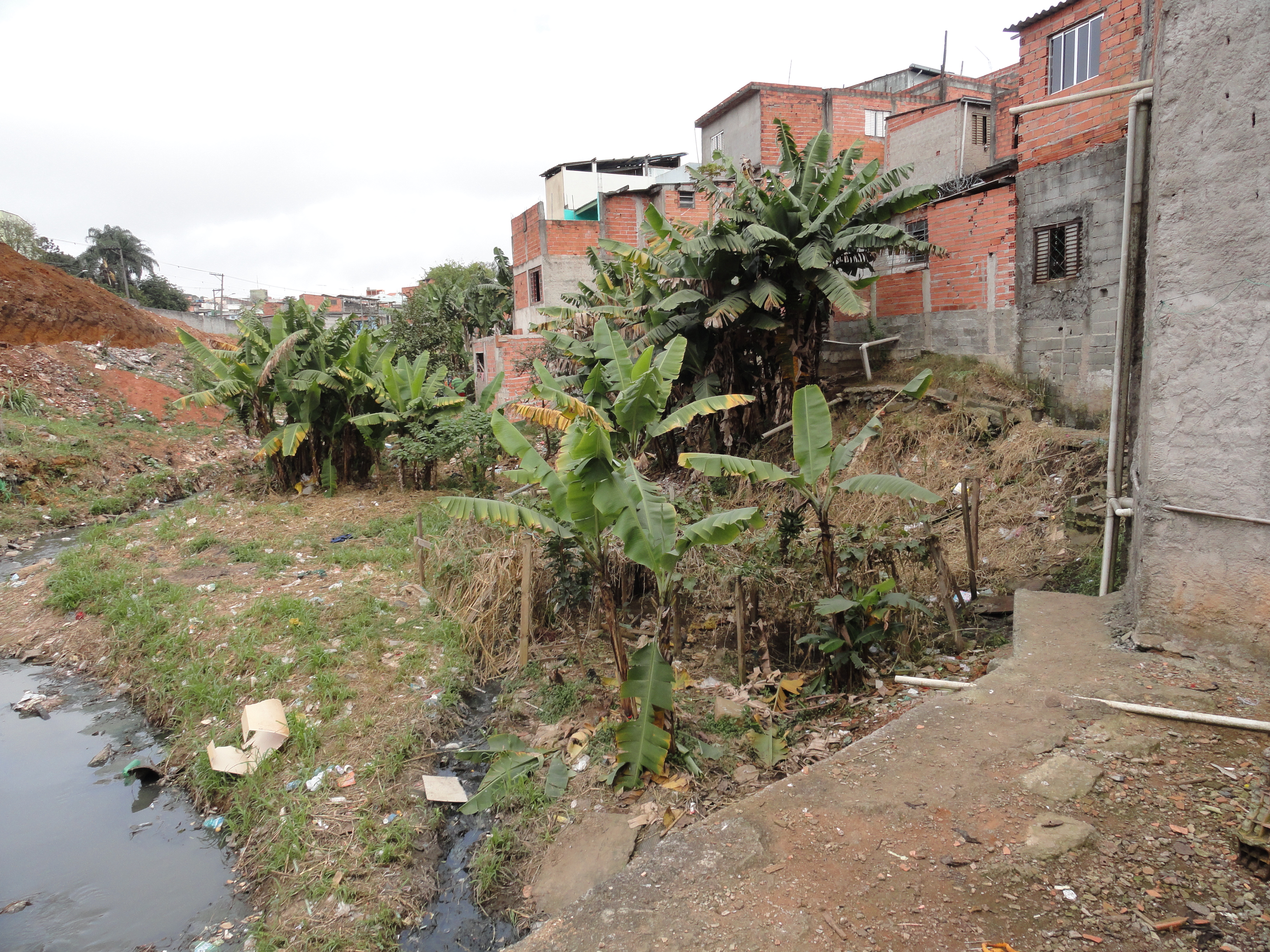 Urbanização Aricanduva - Antes