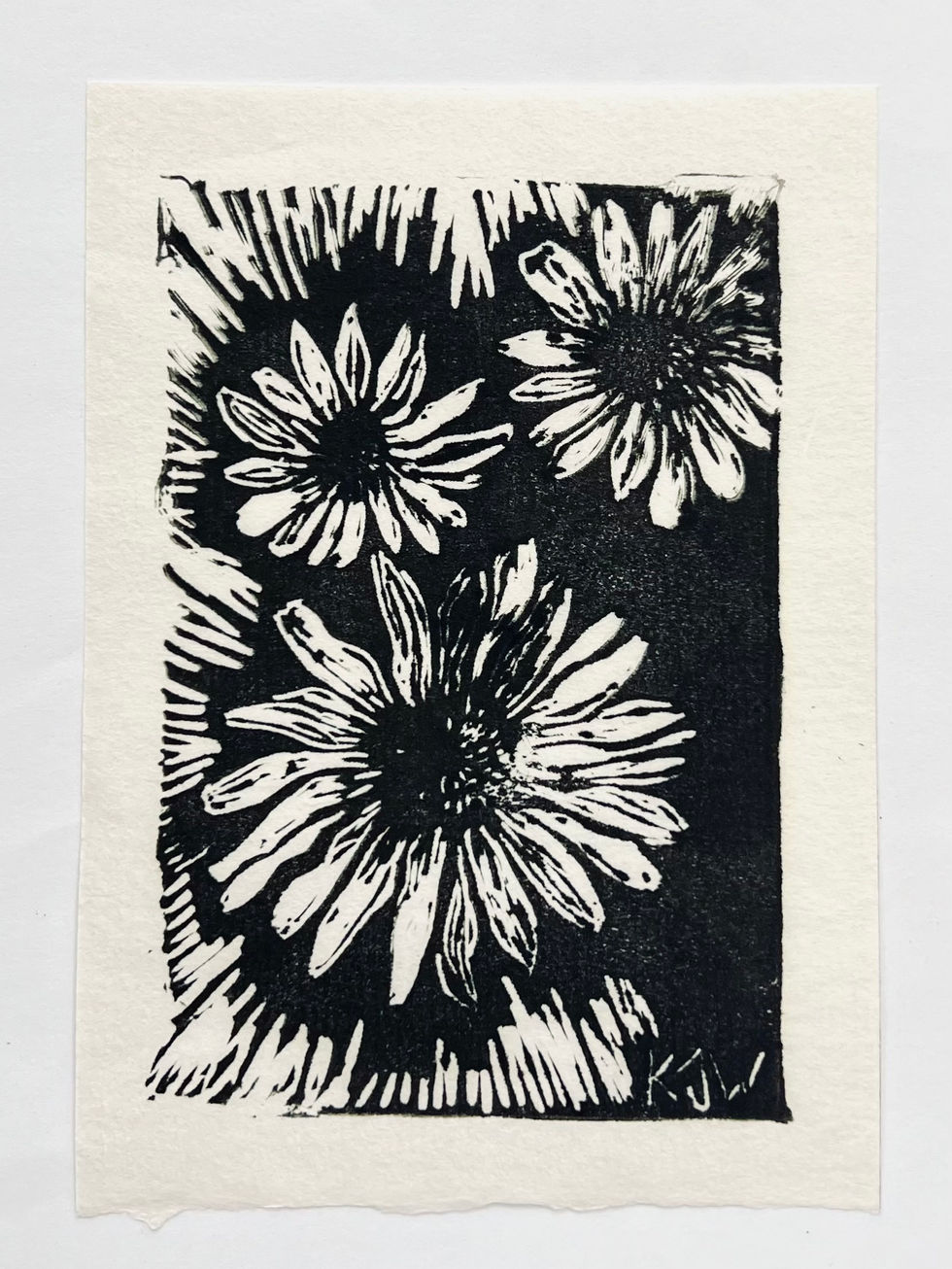 Print of three daisies, in black ink on white paper.