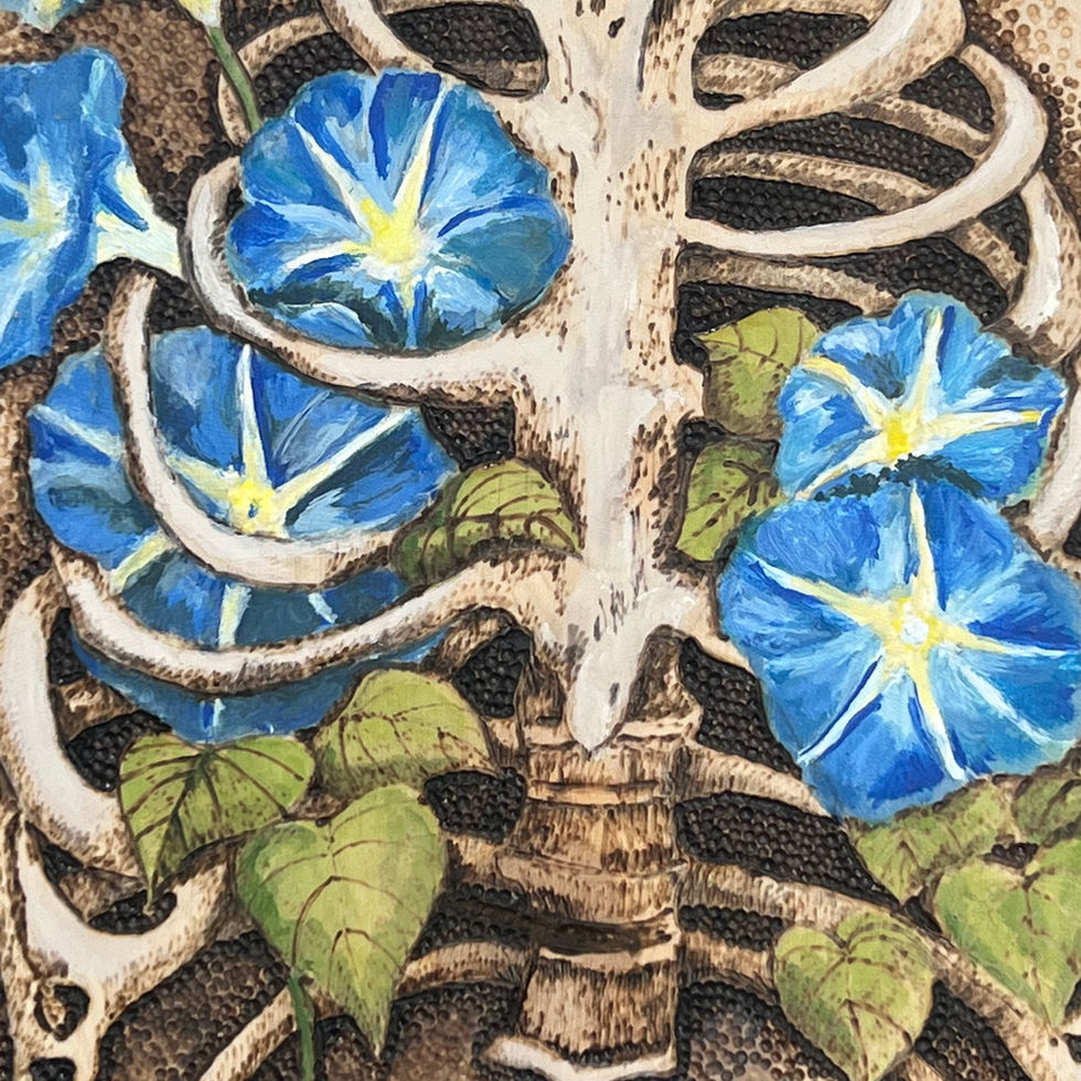 Close up of morning glories growing out of ribcage.