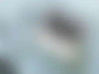 Consent form online consultation