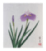 「しょうぶ」