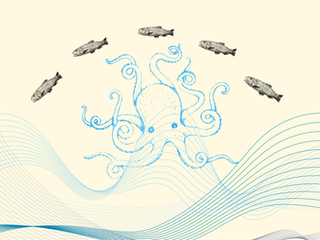 Daily Struggles of a Nitpicky Editor