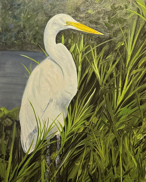"Great White" 16" x 20" Oil Framed $750