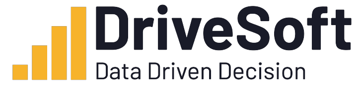 drivesoft_logo.png