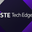 Writer: STE Tech Edge