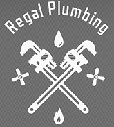 Regal Plumber 2.PNG