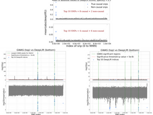 Deep interpretability for GWAS