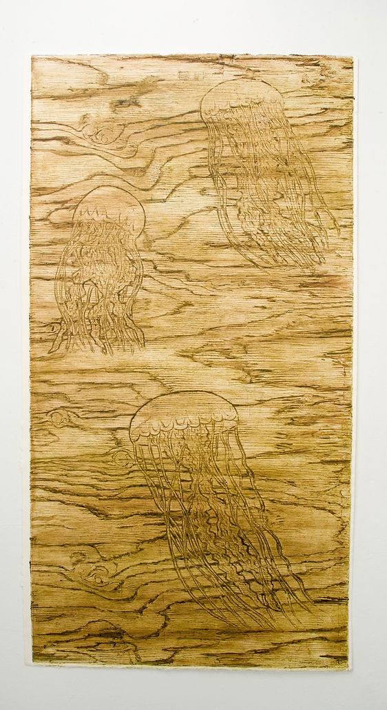 Jellyfish+Rising+41+x+21%C2%BD%2C+48+%28