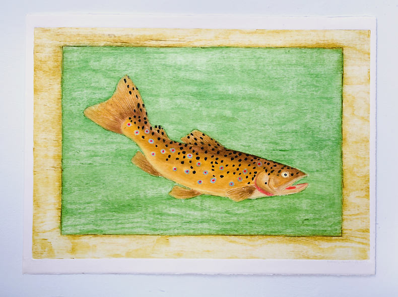 Brown+Trout++19+%C2%BD+x+28%C2%BE+++58+2
