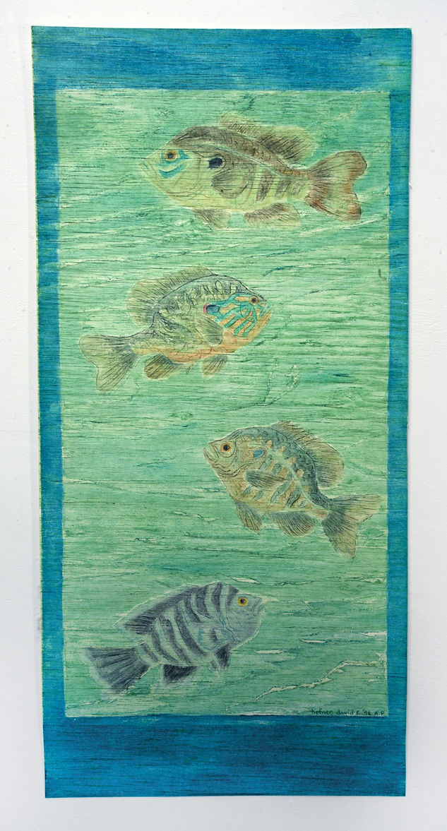 Sunfish+of+the+Pedernales+35+x+16%C2%BE+