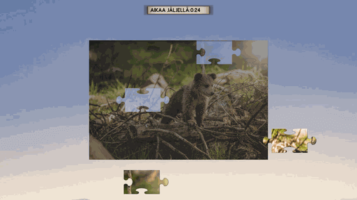 Jigsaw Puzzle
