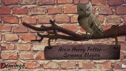 Accio Harry Potter - Semana Mágica