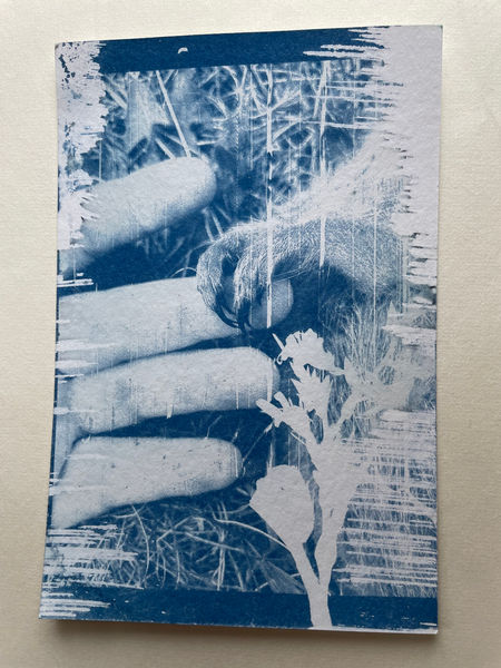 gopher cyanotype