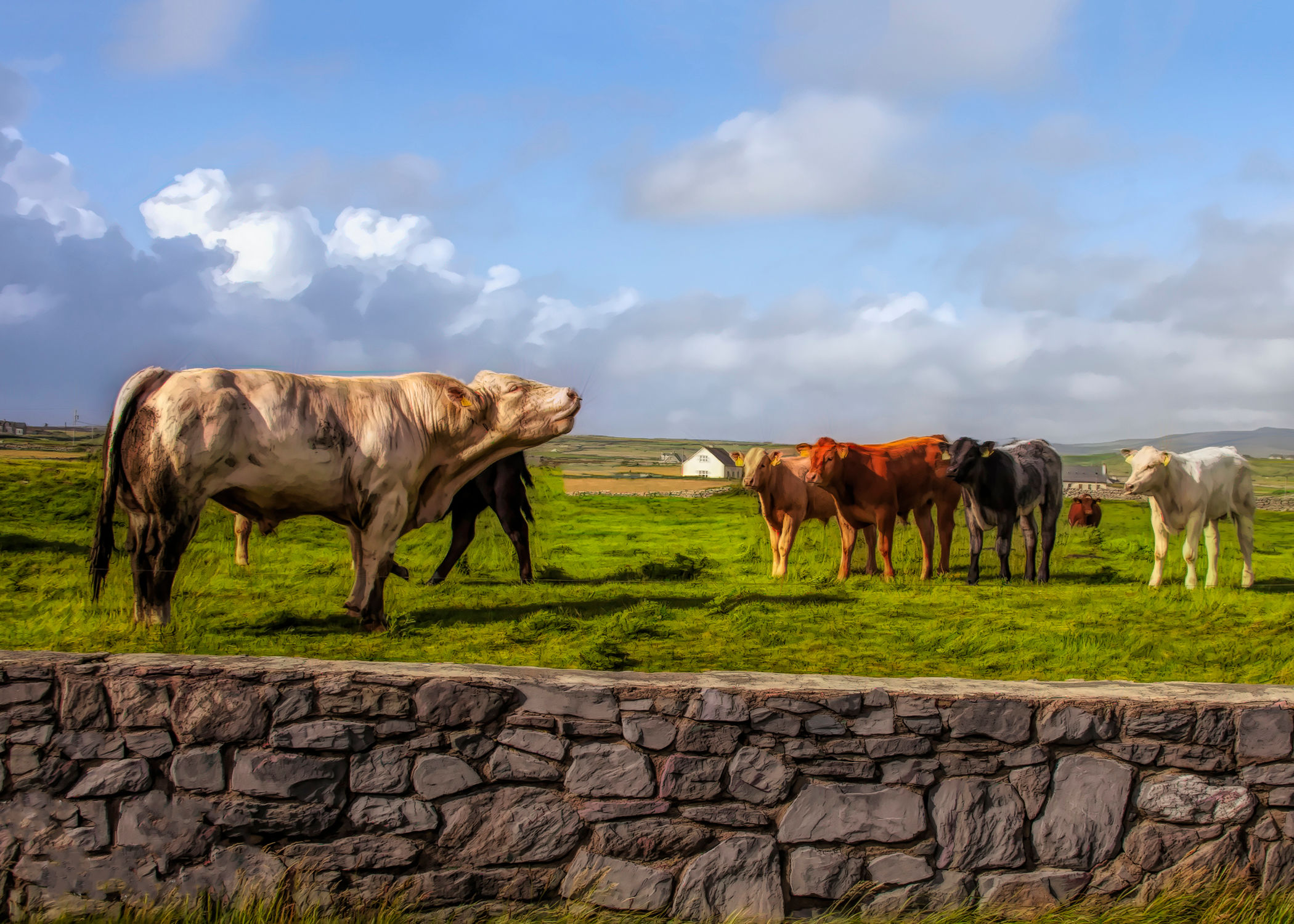 The Serenade (IW0004)