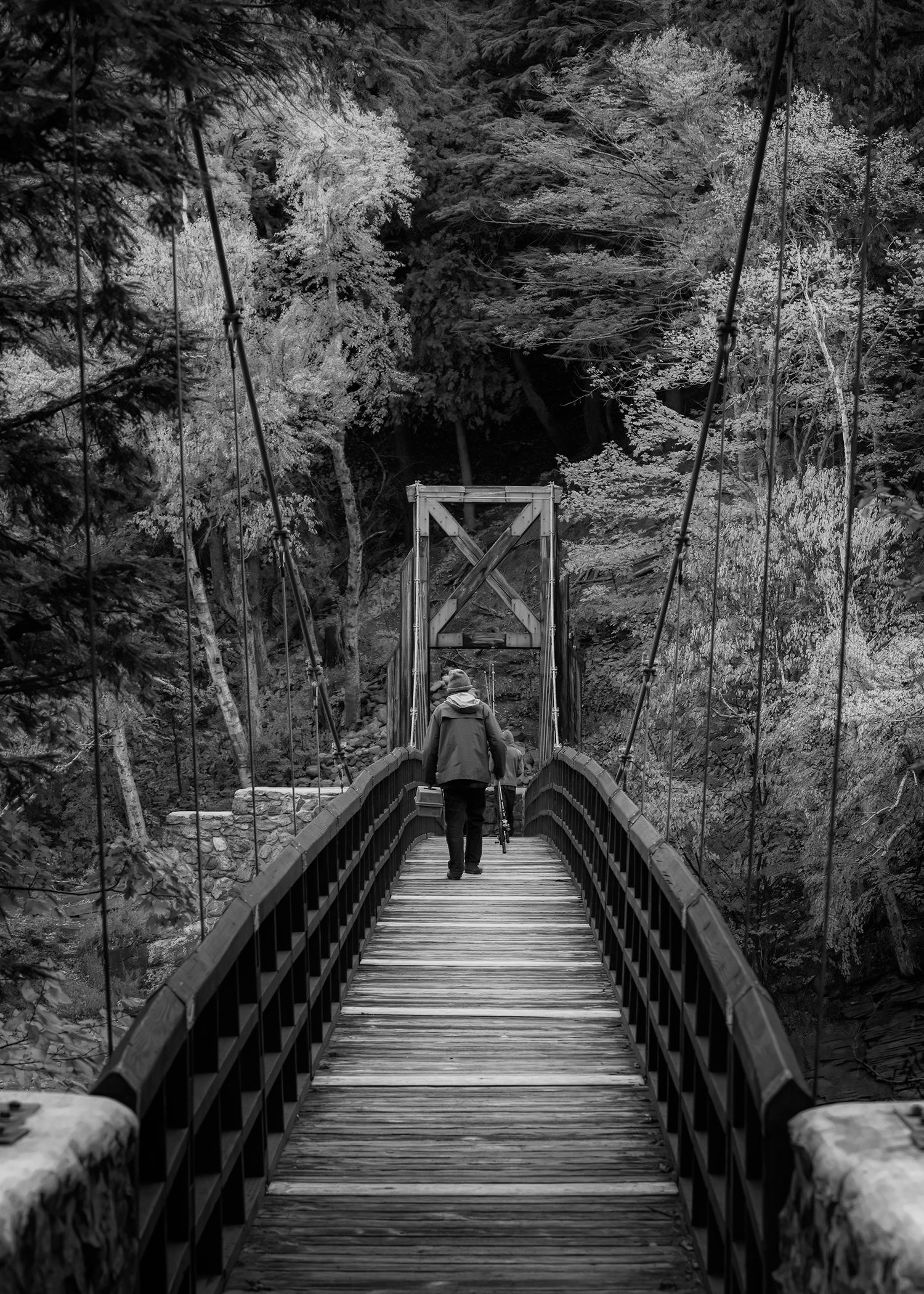 The Fisherman (IP0002)