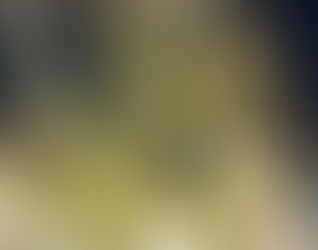 12月17日で6年目を迎えました。